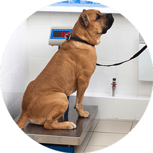 健康診断のイメージ