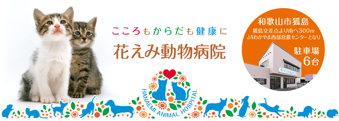 『こころもからだも健康に』和歌山市狐島の花えみ動物病院です。