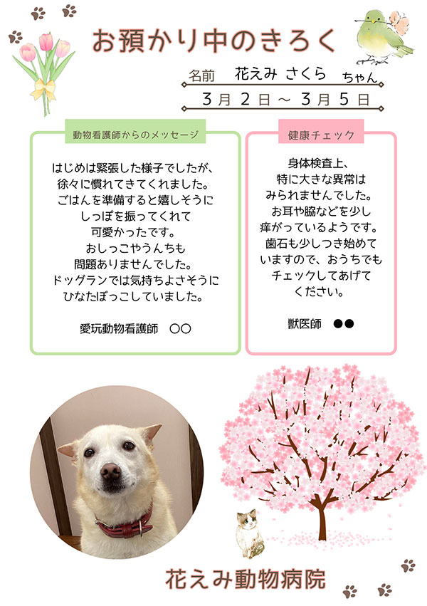 お預かり中の記録（さくら）