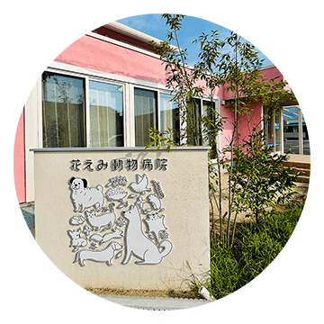 『花えみ動物病院』からのごあいさつです。