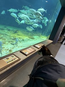 img_24671