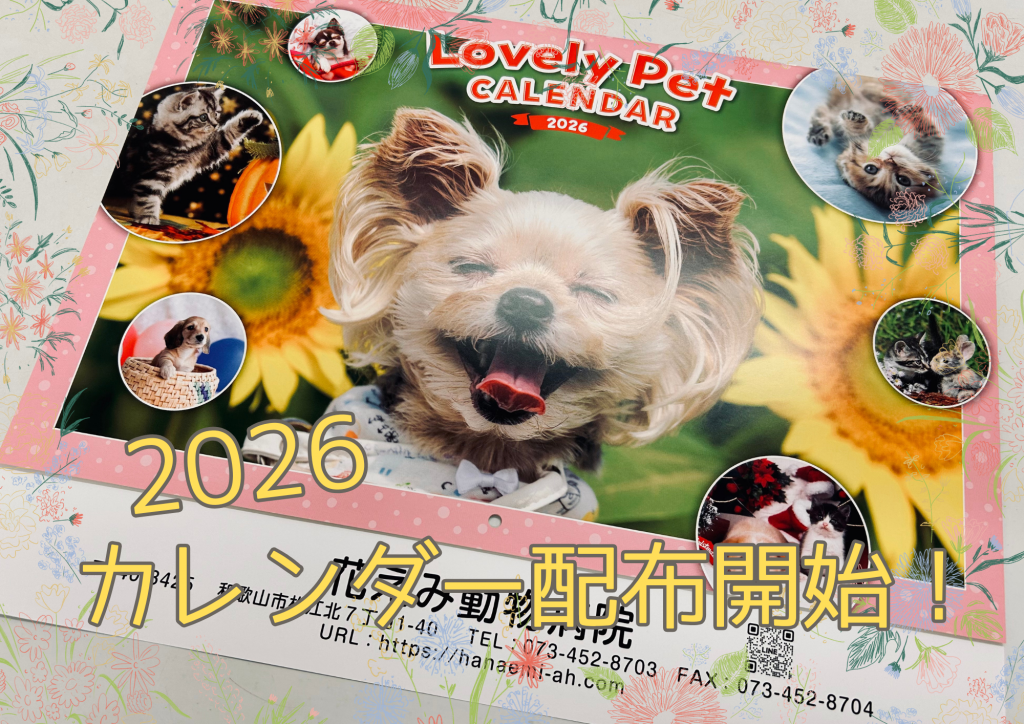 2026%e3%82%ab%e3%83%ac%e3%83%b3%e3%83%80%e3%83%bc