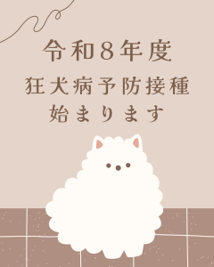 %e3%83%99%e3%83%bc%e3%82%b8%e3%83%a5%e3%80%80%e3%81%8b%e3%82%8f%e3%81%84%e3%81%84%e3%80%80%e7%8a%ac%e3%81%ae%e3%82%a4%e3%83%a9%e3%82%b9%e3%83%88%e3%80%80%e3%81%8a%e7%9f%a5%e3%82%89%e3%81%9b%e3%80%80in