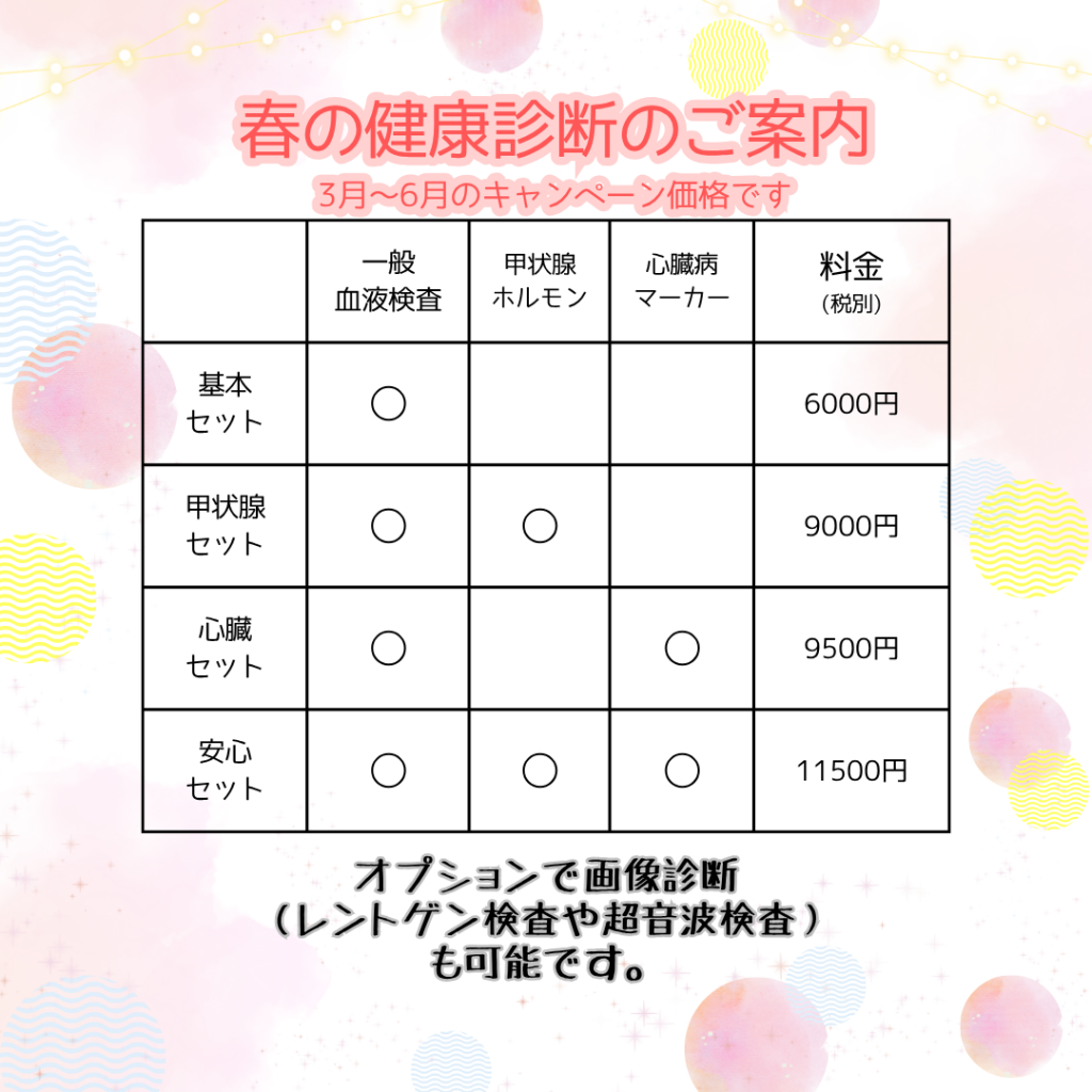 %e5%81%a5%e5%ba%b7%e8%a8%ba%e6%96%ad%e3%81%ae%e3%81%94%e6%a1%88%e5%86%85-2